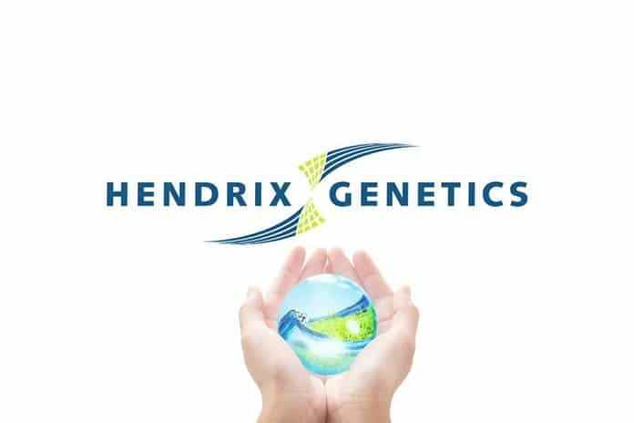 Hendrix Genetics