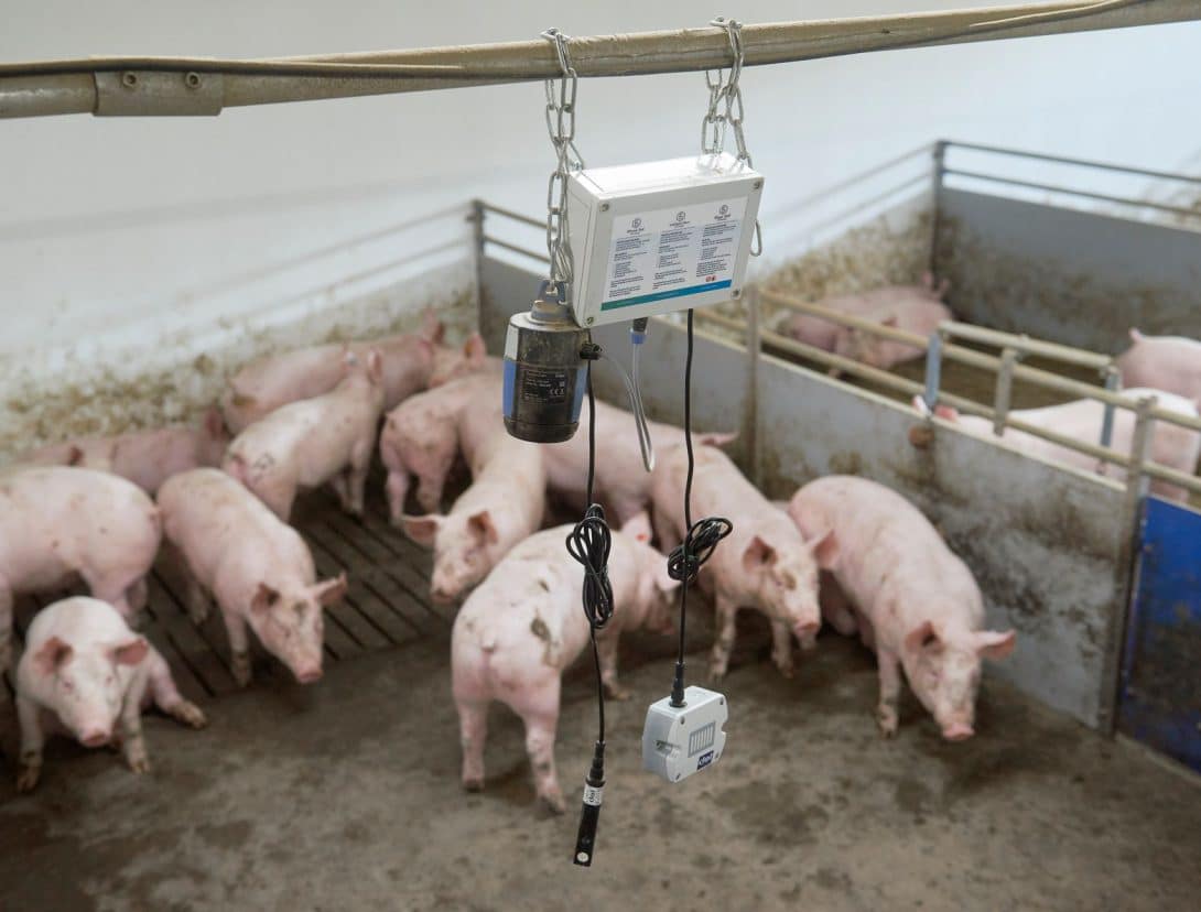 Smart Pork Chain sensor