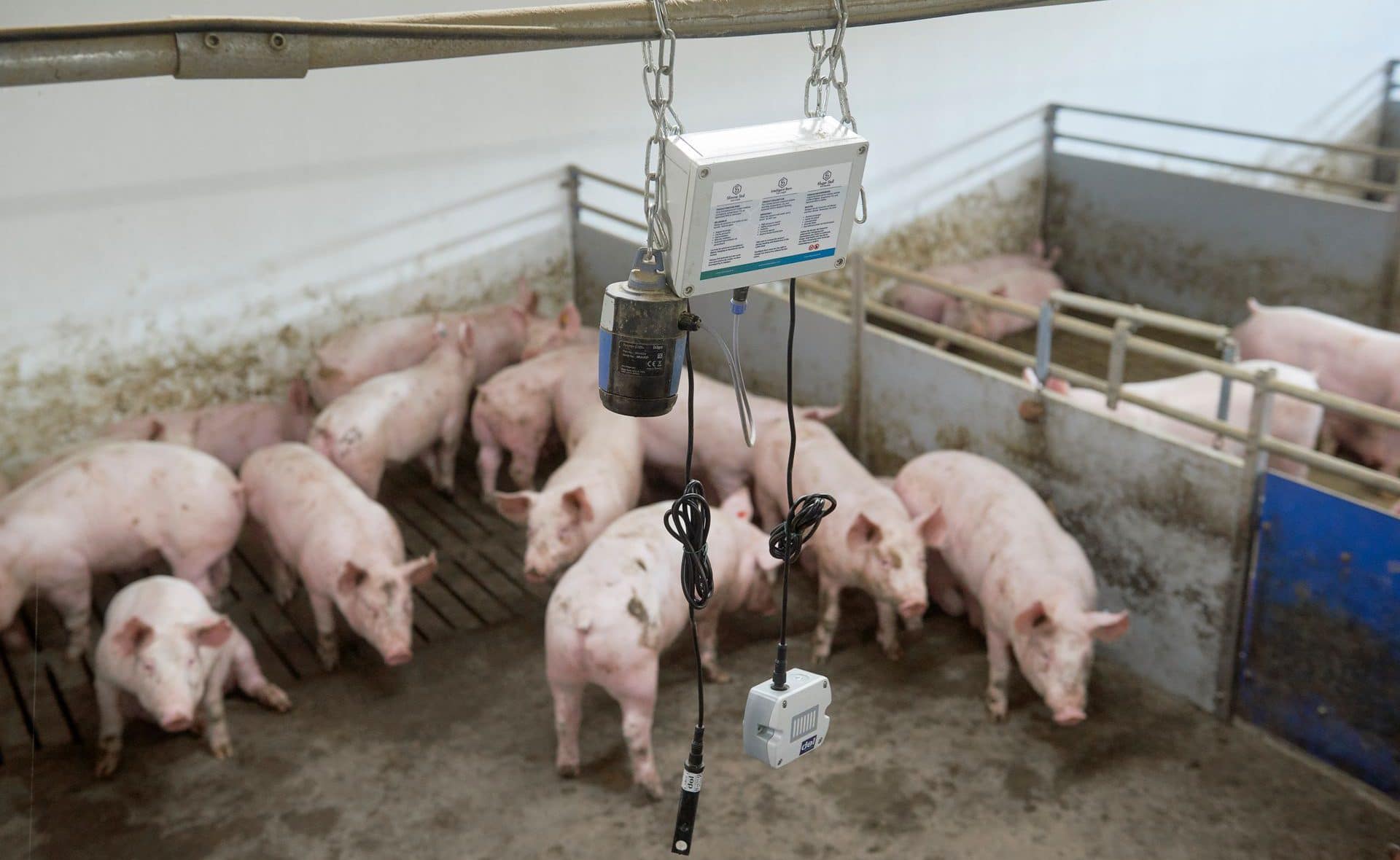 Smart Pork Chain sensor